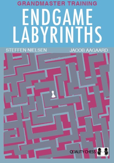This is the product image for Endgame Labyrinths. Detail: Aagaard,J & Nielsen,S. Product ID: 9781784831523.
 
				Price: $54.99.