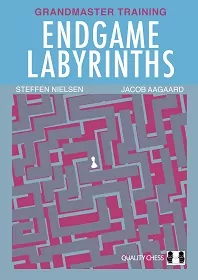 This is the product image for Endgame Labyrinths (HB). Detail: Aagaard,J & Nielsen, S. Product ID: 9781784831530.
 
				Price: $64.95.