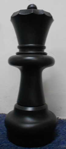 This is the product image for Small Giant Extra Pieces. Detail: SPARES. Product ID: GSCHESSX.
 
				Price: $19.95.