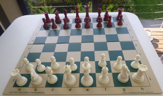 This is the product image for Weighted Chess Pieces (White & Red). Detail: PLASTIC PIECES. Product ID: PCP1R.
 
				Price: $19.95.