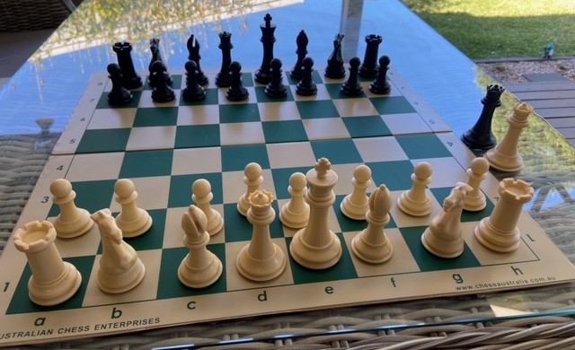 This is the product image for Weighted Chess Pieces (Quadruple, coffee Cream. Detail: PLASTIC PIECES. Product ID: PCS1Q.
 
				Price: $39.95.