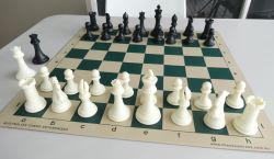 This is the product image for Weighted Chess Pieces (Quadruple, White). Detail: PLASTIC PIECES. Product ID: PCS2.
 
				Price: $39.95.