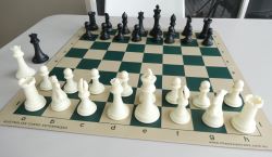 This is the product image for Weighted Chess Pieces (Quadruple, White). Detail: PLASTIC PIECES. Product ID: PCS2.
 
				Price: $39.95.