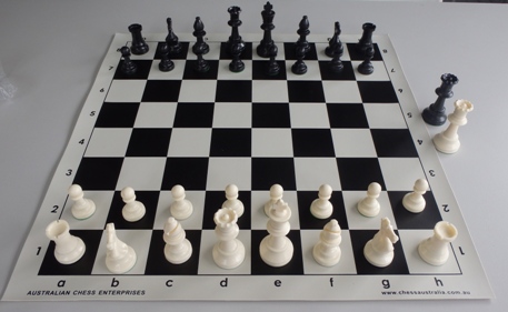 This is the product image for Weighted Chess Pieces (White). Detail: PLASTIC PIECES. Product ID: PCS4H.
 
				Price: $29.95.